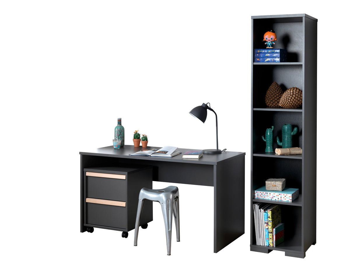 Deze LONDON combinatie in antraciet bestaat uit een bureau met bijbehorende rolcontainer en boekenkast.