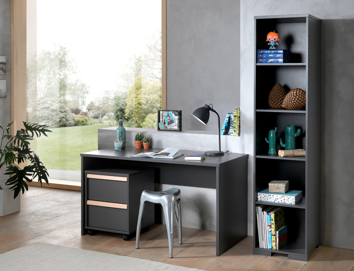 Deze LONDON combinatie in antraciet bestaat uit een bureau met bijbehorende rolcontainer en boekenkast.