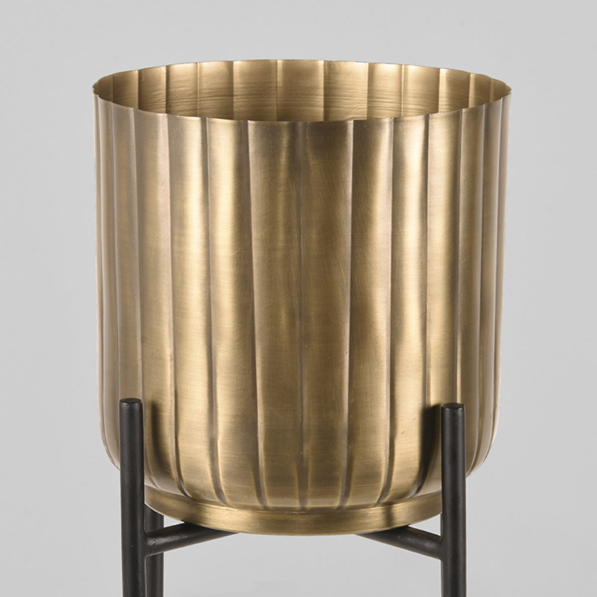 LABEL51 Supports de plantes - Or antique - Métal